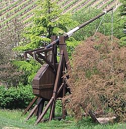 Trebuchet (Replica in Chinon, Frankrijk).